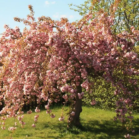 In Lejlighed Stahlbrode